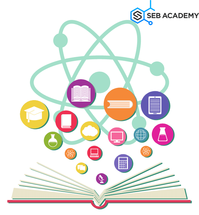 success in the books in chemistry tuition at Seb academy