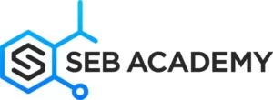 seb-academy-logo